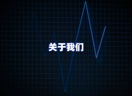 专业团队